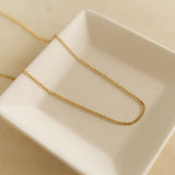 Delicate Rolo Necklace