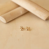 Moon Post Earrings