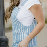 Jovie Ruffled Wide Leg Denim Overalls