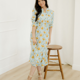 Parker V Neck Long Dress
