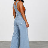 Stevie Denim Overall Jumpsuit