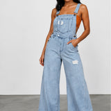 Stevie Denim Overall Jumpsuit