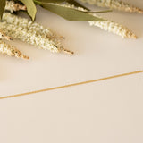 Delicate Rolo Necklace