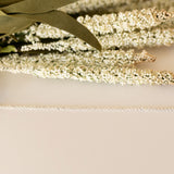 Delicate Rolo Necklace
